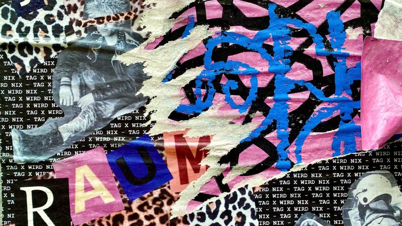 云南山地农业项目探秘：因地制宜，绿色发展**