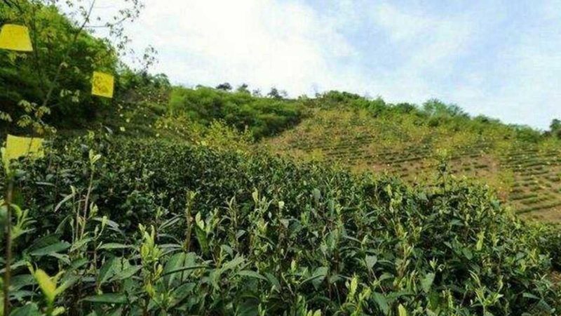 现代农业技术设备：价格背后的价值考量**