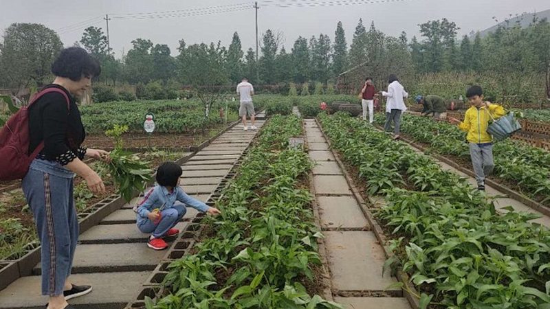 深圳农产品配送公司排名的背后，是行业洗牌的真实信号