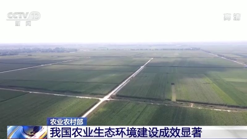 家庭农场十大品牌：分类背后的经营逻辑与选择思路