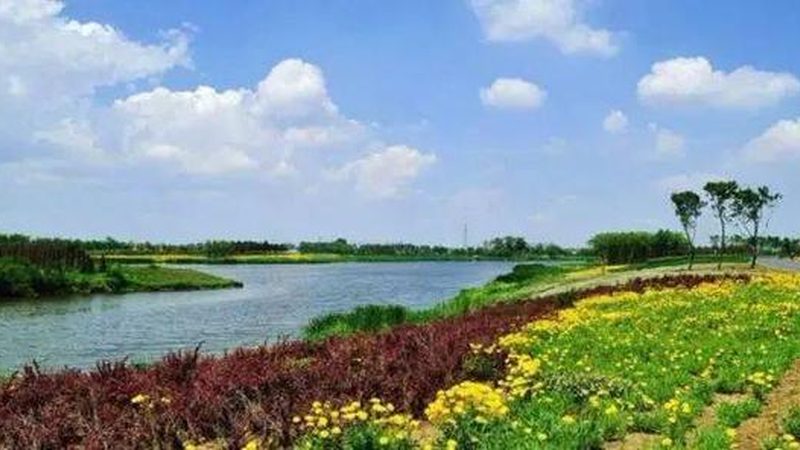 排水不畅的田块，种什么都白费力气
