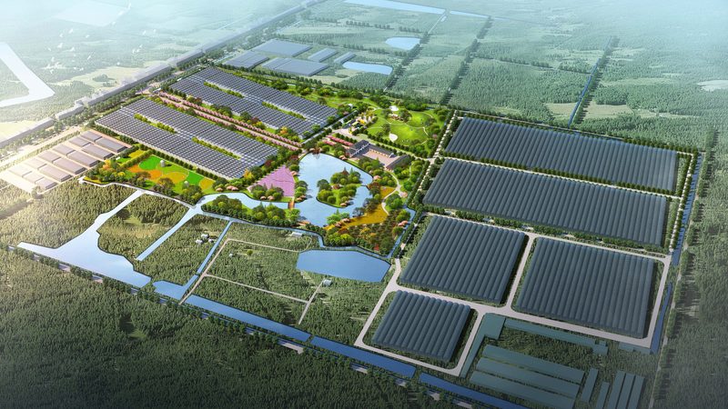 种植技术书籍电子版下载