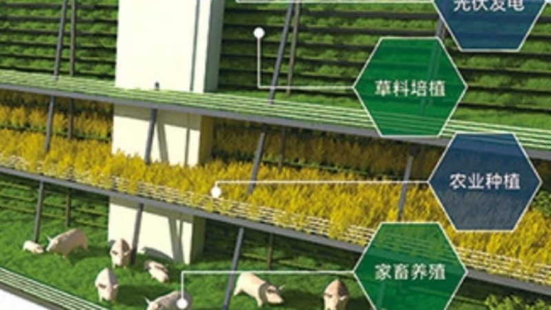 申报休闲农业补贴，时间窗口比政策本身更关键