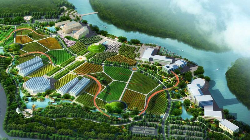农药价格行情走势图解析：揭秘市场动态与决策要点