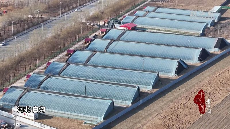 农业项目申报材料编写：关键步骤与要点解析