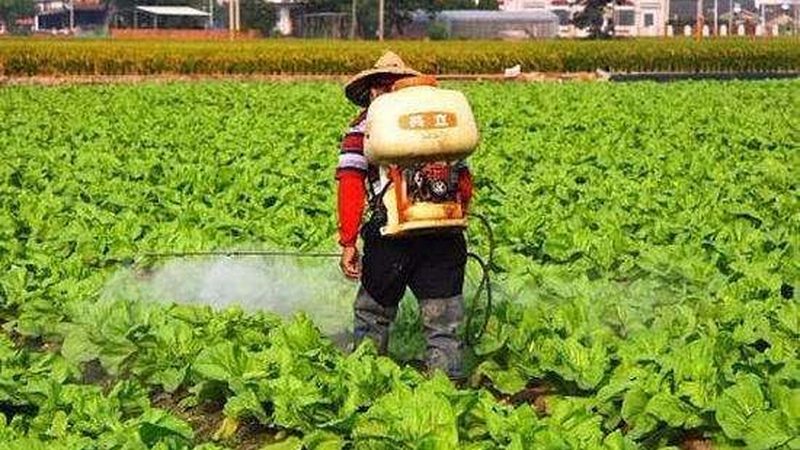 智慧灌溉系统标准规范：引领现代农业发展新篇章