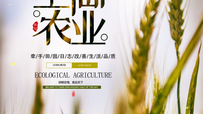 大棚种植技术：批发价格背后的考量因素**